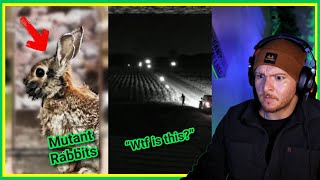 Crazy Videos That Will Blow Your Mind