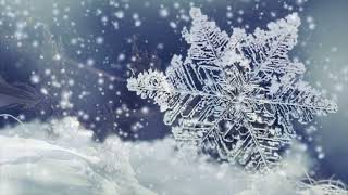 Чудесного дня! / Have a wonderful day! #wintermagic #зимнееволшебство
