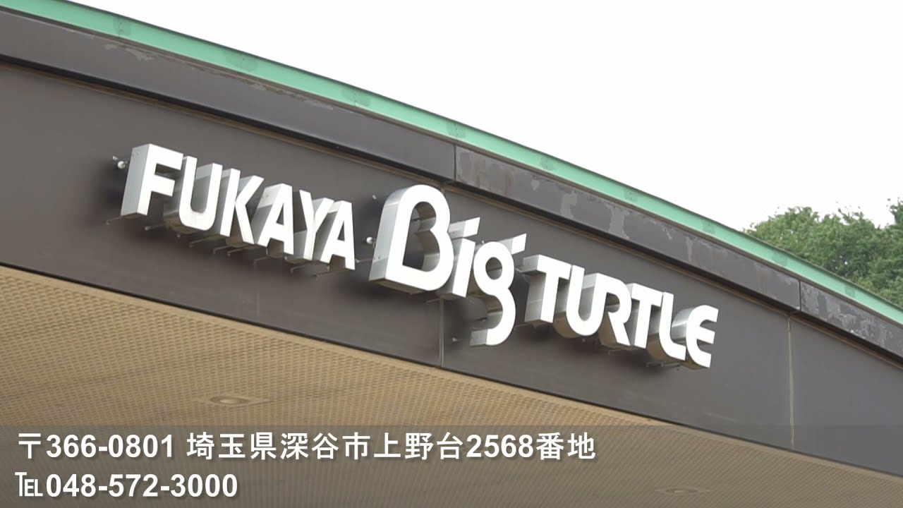 9 ビッグタートル総集編 音源無 深谷市pr素材 Youtube