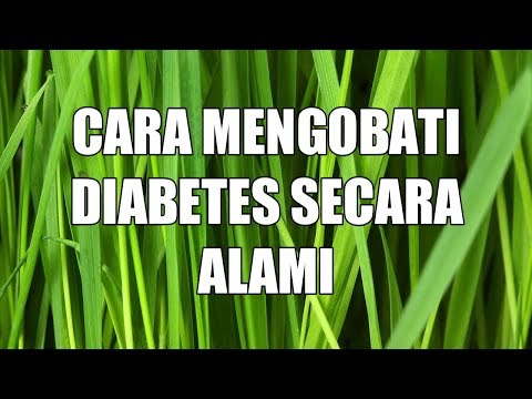 cara-mengobati-diabet-secara-alami