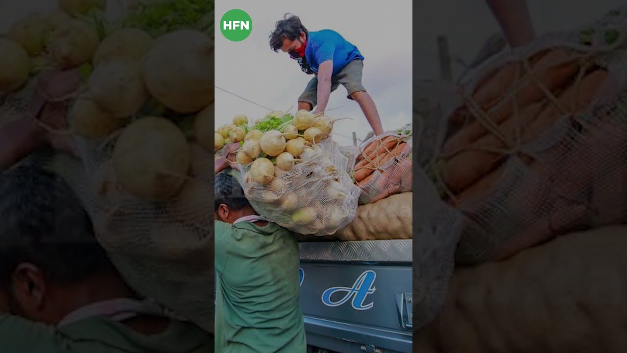 अब किसानों की मेहनत का मिलेगा पूरा दाम! 💵 🌾