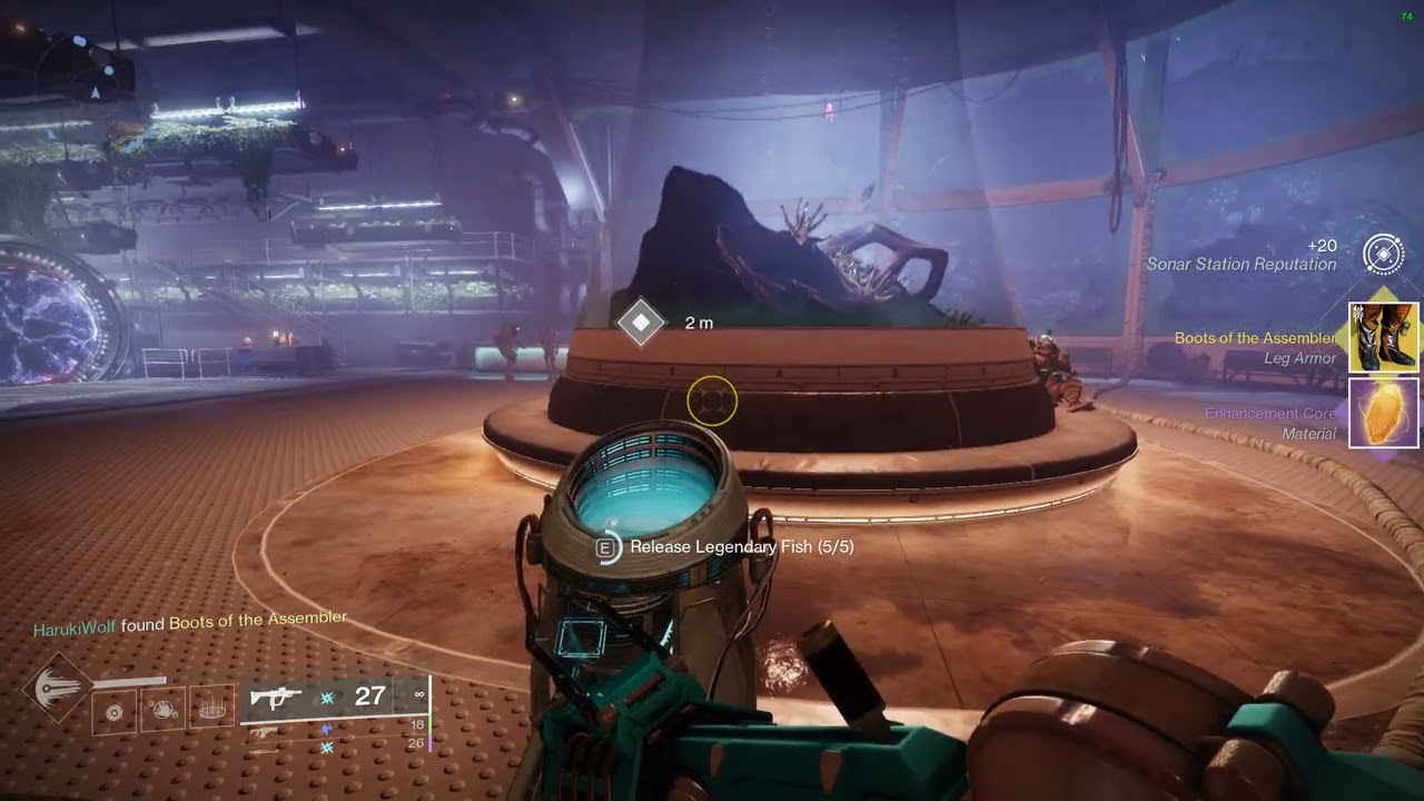 what you can get from an exotic fish in Destiny 2