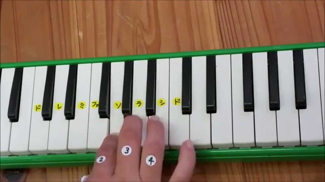 簡単ピアニカ演奏 さんぽ となりのトトロ 鍵盤ハーモニカで弾いてみた Stroll My Neighbor Totoro Melodica Youtube