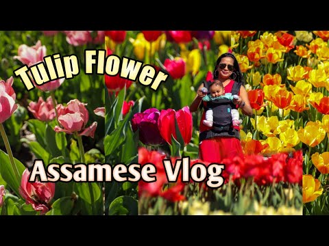 Tulip festival | Assamese vlog from America | Ted Ensley Garden | Topeka, Kansas |