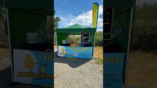take a quick tour BTS of my lemonade stand #smallbusiness #lemonadestand #businessvlog
