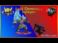 Highlights of our last domi raid in Blue layer 14.0 (with voices) | Allods Online