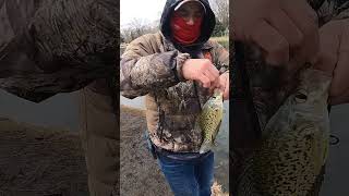 Gran pesca de mojarras crappie , pesca con flotadores , shors