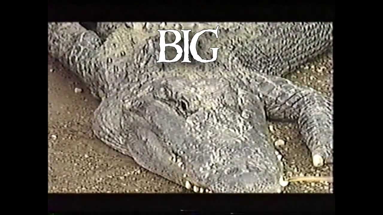 In This Very Ring - Big Japan Pro Wrestling "Crocodile Deathmatch