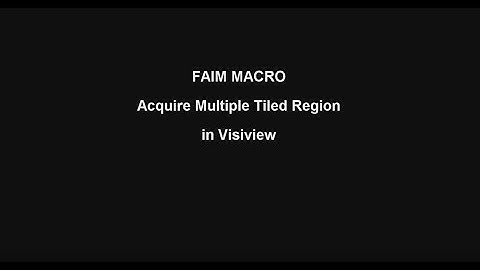 FAIM multiple tiled region acquisitions in VisiView #1