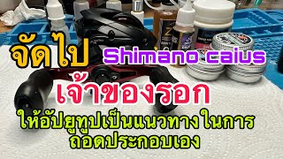 ล้างเคลียร์ระบบ shimano caius