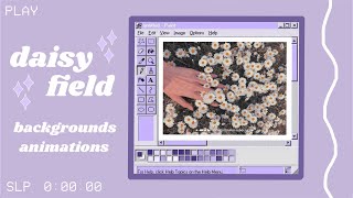 aesthetic daisy field background animations