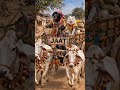Tu bhi ke yaad rakhe gi 🥲 #viral #funny #aivideo #dogeshbhai #funnycomment #memeschallenge #funniest
