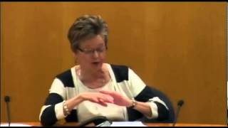 Second Parent Adoption Post Amendment 1