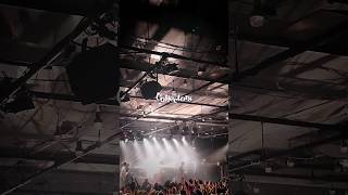 気に入ってるは愛してるの最上級! #THECOLLECTORS #コレクターズ #愛してるというより気に入ってる #live