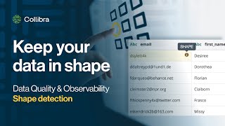 Collibra Data Quality & Observability: Shape detection