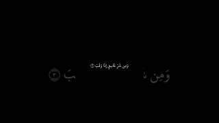 #quran #islam #reaction #shprts