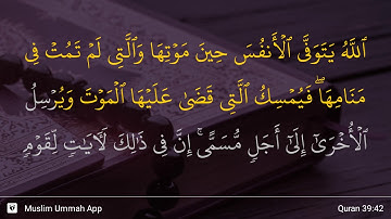 سوره زمر، آیه ۴۲