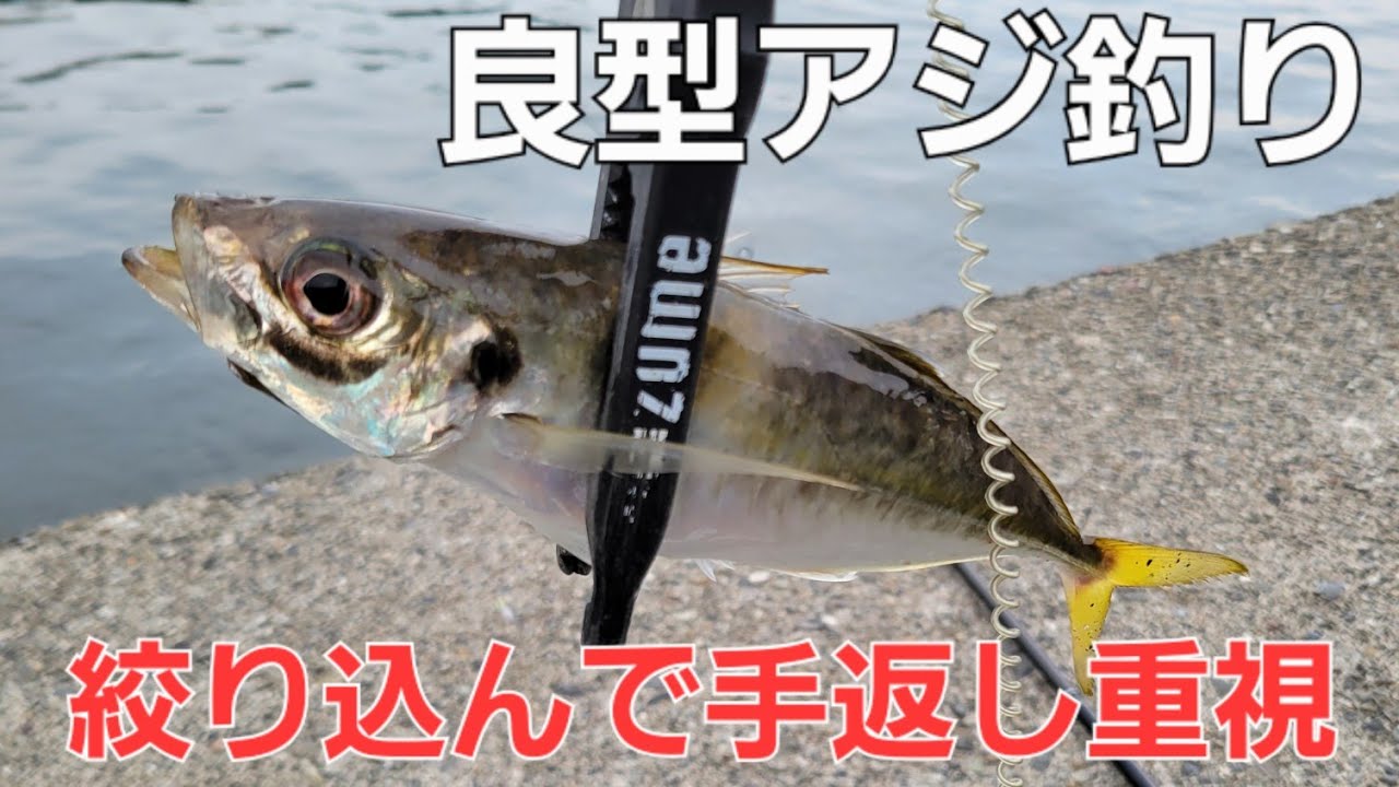 自分だけのゾーンを作り手返し重視でデカアジ狙いのサビキアジ釣り。夜になるにつれてぇぇぇ…