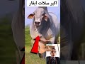 اغرب انواع الابقار في العالم 