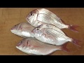 チダイのさばき方と握りの作り方 寿司屋の仕込み how to fillet a Crimson sea bream and make sushi