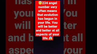😇Angel Number: 234