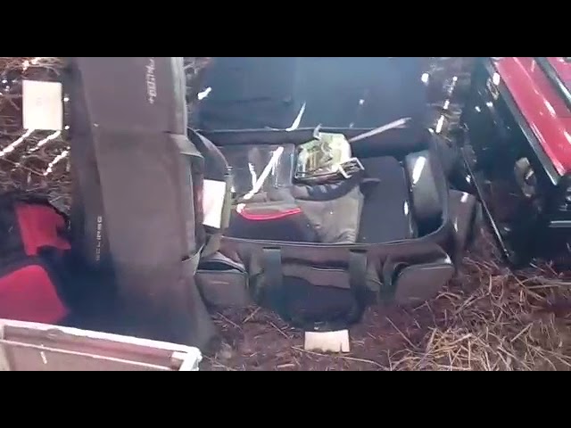 UPDATE VIDEO Hoții din Cartierul Tineretului au fost duși la poliție. Ce s-a găsit la ei acasă e ”impresionant” 2 video