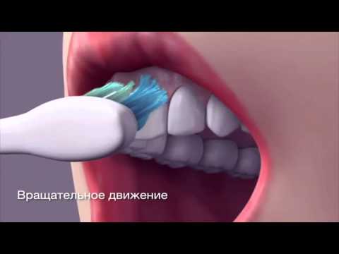 Как правильно чистить зубы - Стоматология Киев