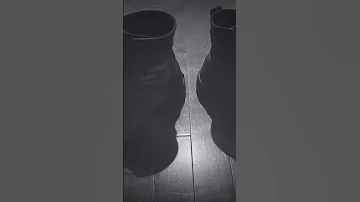 Boots Song Shorts Music Indie 