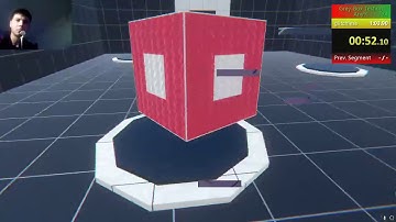 GLITCHLESS WORLD RECORD SPEEDRUN GREY BOX TESTING