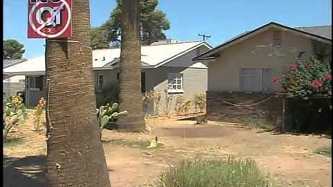 Voters decide QT future