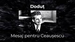 Doduț - Mesaj pentru Ceaușescu Resimi