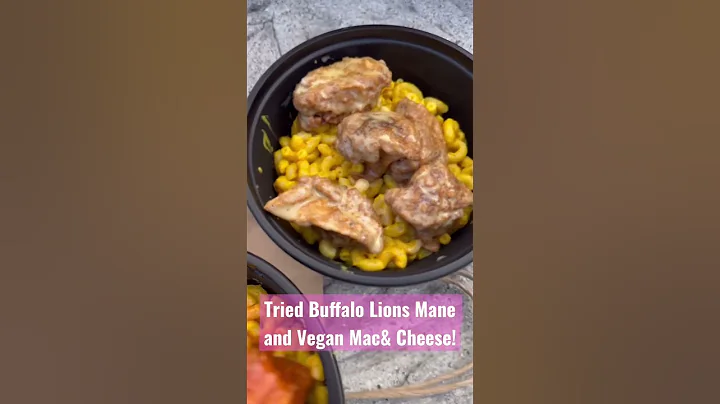 Lions Made Tossed In Buffalo Over Mac& Cheese!