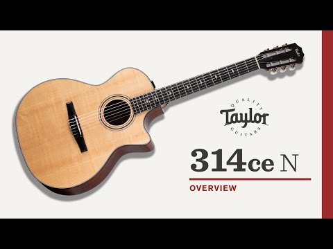 Taylor 314ce-N Nylon Grand Auditorium