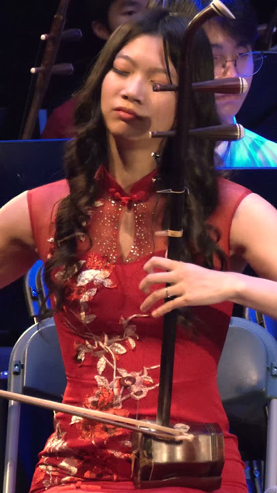 Journey to the West by Nanyen Lau #chineseorchestra #music #erhu