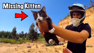 Found Missing Kitten In The Desert (Alone and Hungry) *HAPPY ENDING*