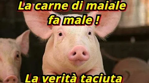 Quanto dura la carne di maiale?