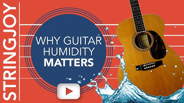 Why Your Guitar’s Humidity Matters: How To Monitor and Control It