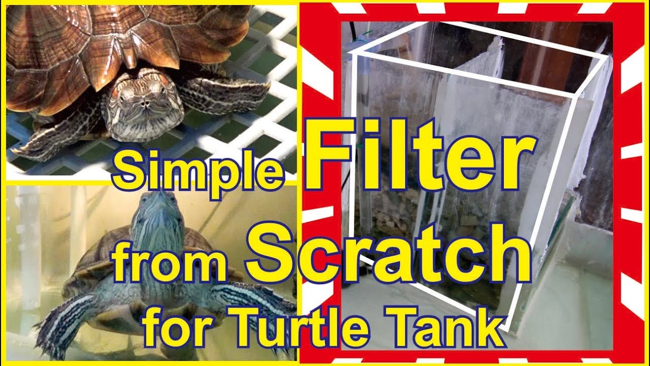 DIY... HOW TO MAKE FILTER FROM SCRATCH FOR TURTLE TANK YouTube