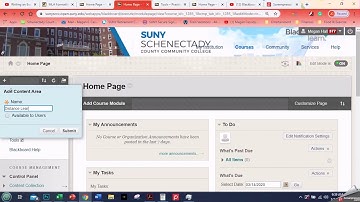 Blackboard for Faculty 1: Menu Options