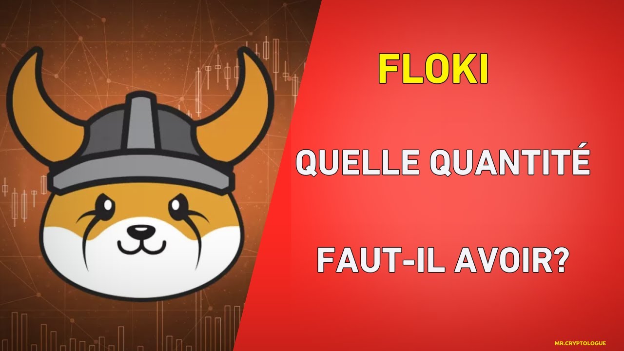 QUELLE QUANTITÉ DE FLOKI FAUT-IL AVOIR AVANT LE BULL RUN ? - YouTube