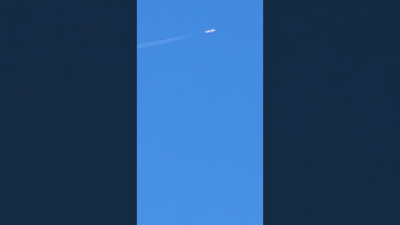 An aeroplane ✈️ Leonardo da Vinci