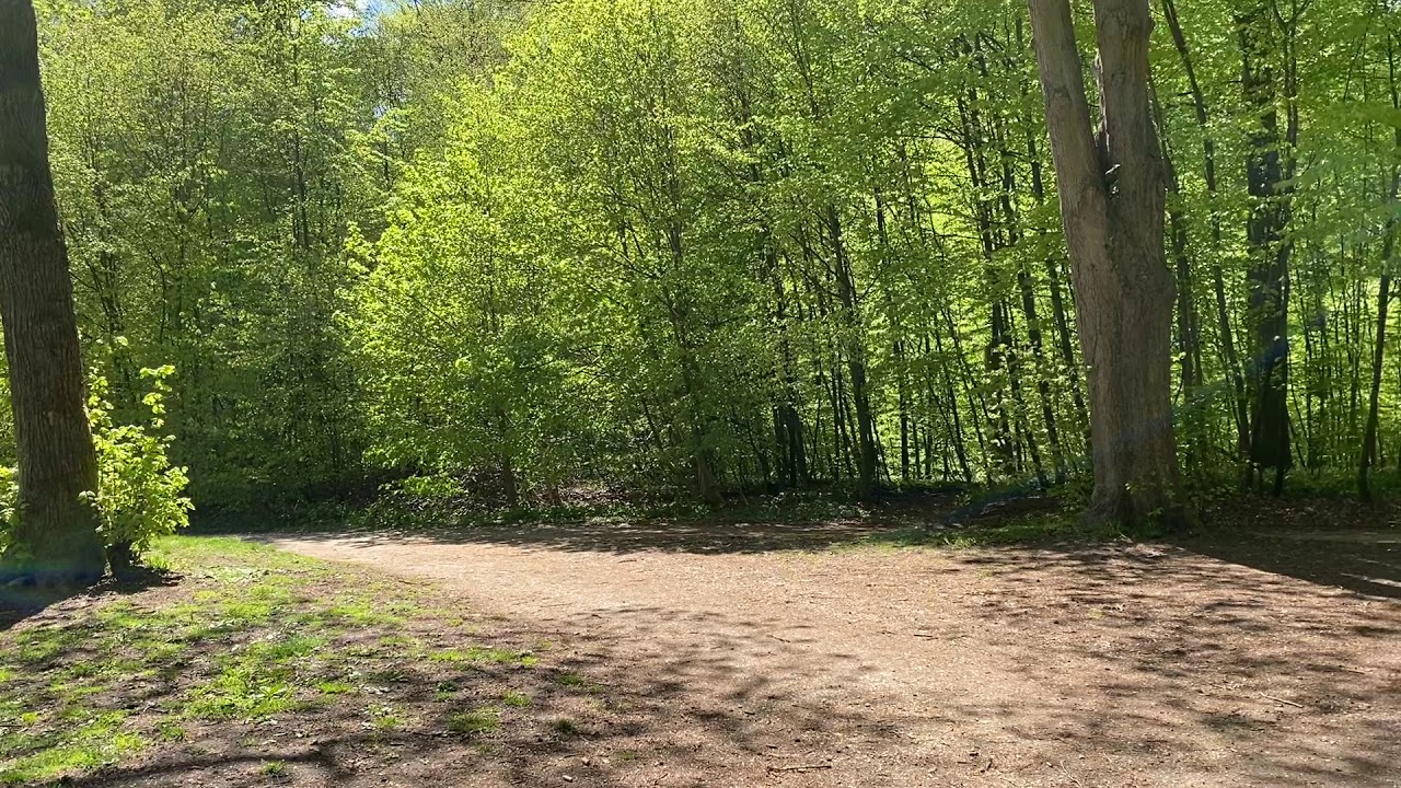 Ferdinandsplads ved Riis Skov i Århus