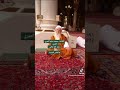 العلامة محمد سليم الكردي رحمه الله تعالى تـ1442هـ أعلام المدينة