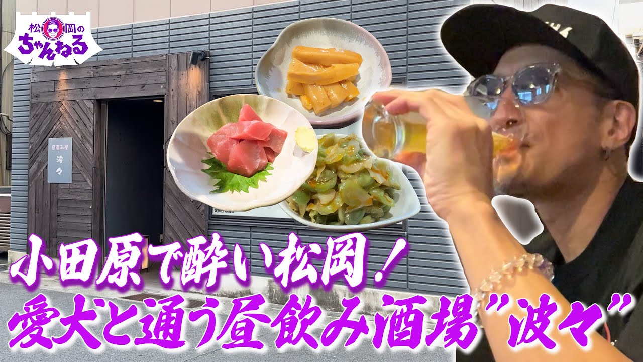 小田原で酔い松岡！愛犬と通う昼飲み酒場”波々”