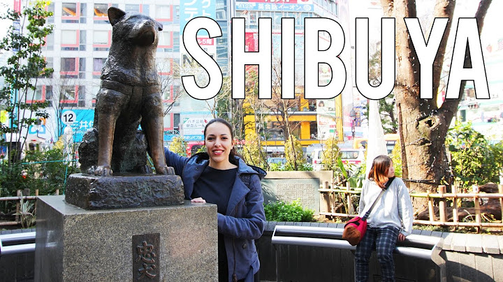 Visite du quartier de Shibuya | VLOG JAPON