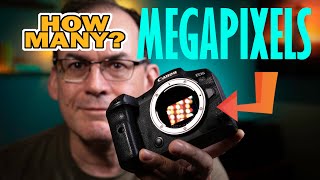 HOW MANY MEGAPIXELS DO YOU NEED?  YOU MAY BE SURPRISED! screenshot 5