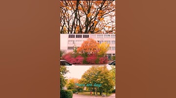 One day this poem will find you l Autumn Poem l Ghulam Abbas Soomro