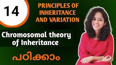 CHROMOSOMAL THEORY OF INHERITANCE - NCERT /NEET BIOLOGY /MALAYALAM