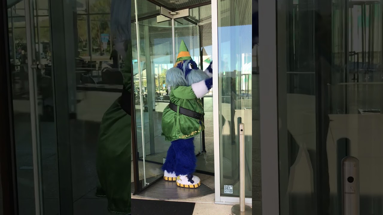Raymond Elf Revolving Door Youtube