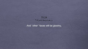 Sheikh Mohamed Ahmed Alzain - Surah 75 Al Qiyamah / الشيخ محمد أحمد الزين - سورة ٧٥ القيامة